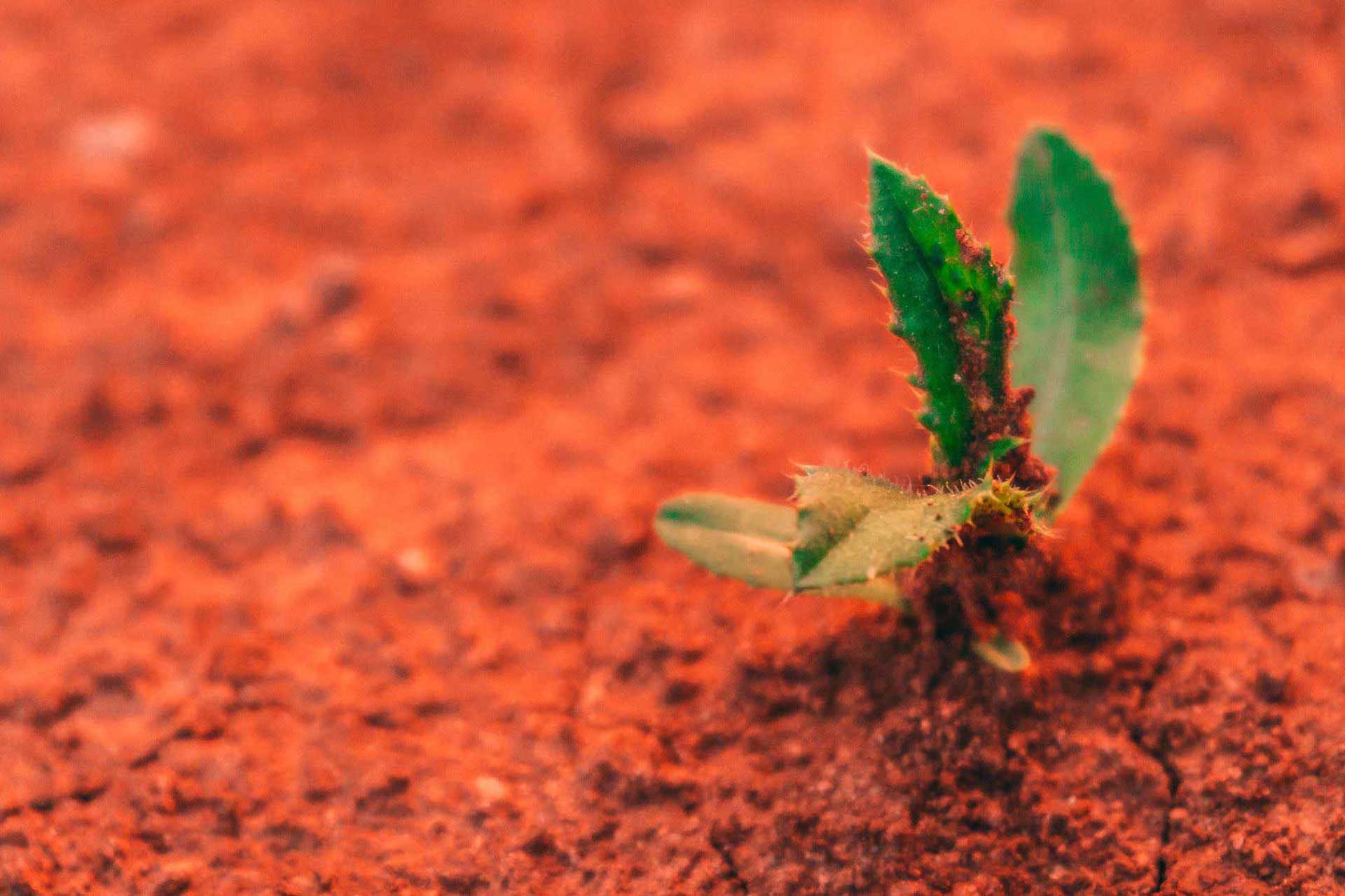 Prinzip #3: Verborgene Potentiale erkennen und zum Leben erwecken